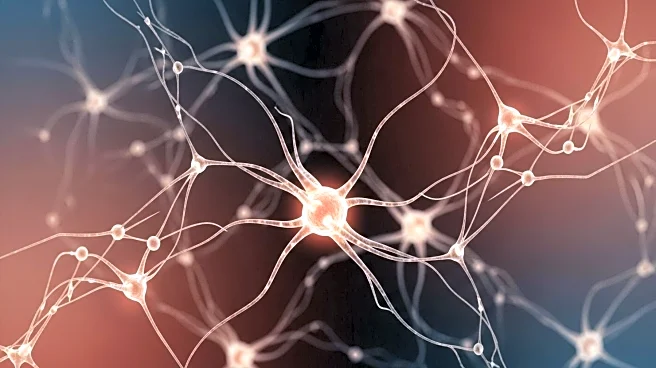 Researchers Identify Brain Activity Pattern Linked to Anxiety and Depression Risk