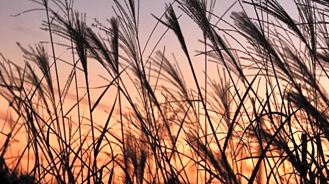 September Full Moon: Corn Moon to Illuminate Ohio Skies