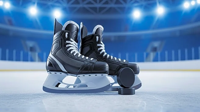 St. Louis Blues Fantasy Projections Highlight Key Players for 2025-26 Season