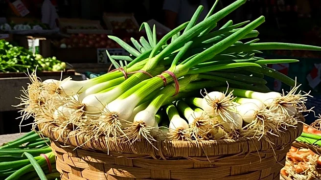Jeremy Allen White's Influence at Los Angeles Farmers Market