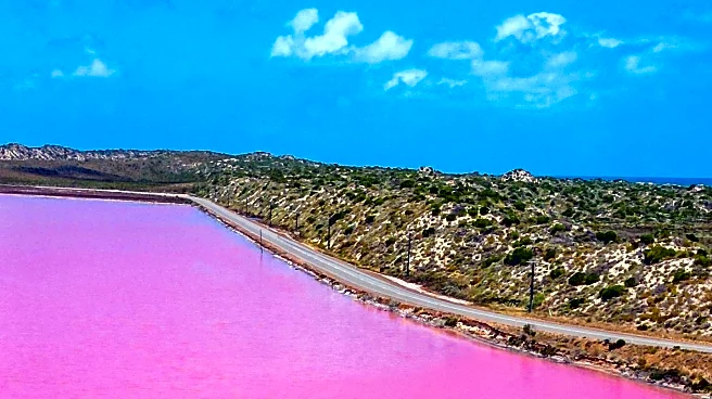 Rare Pink Lake in UK Sparks Environmental Concerns Among Visitors