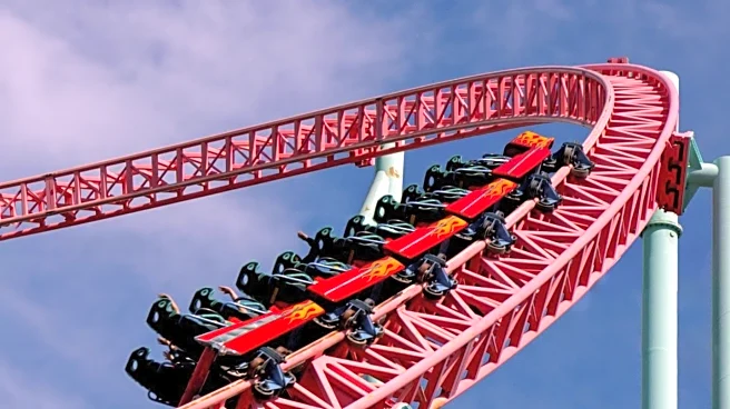 Noelle Foley Reveals Life-Changing Injuries from Roller Coaster Ride