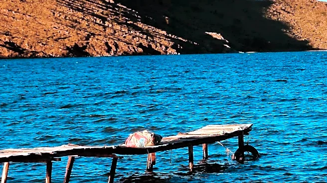 Lake Plunge Event Raises Funds for Summerland Food Bank