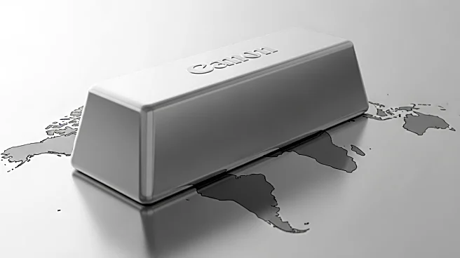 Brazil's Nickel Dispute Highlights Global Mineral Competition