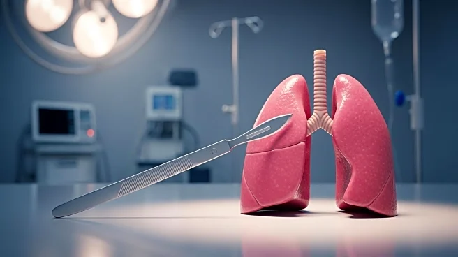 Surgeons Achieve Milestone with Pig Lung Transplant in Brain Dead Human