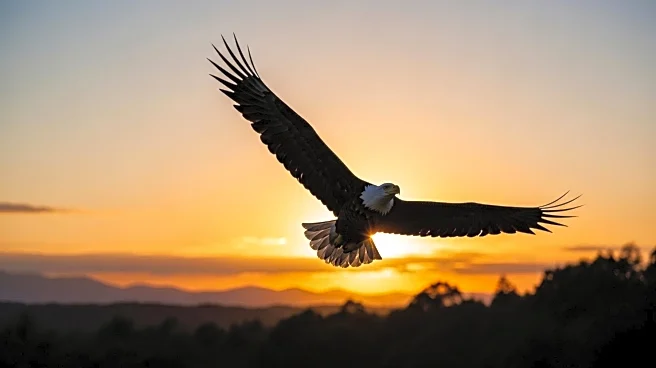Trump Administration's Proposed Changes to Endangered Species Act Raise Concerns
