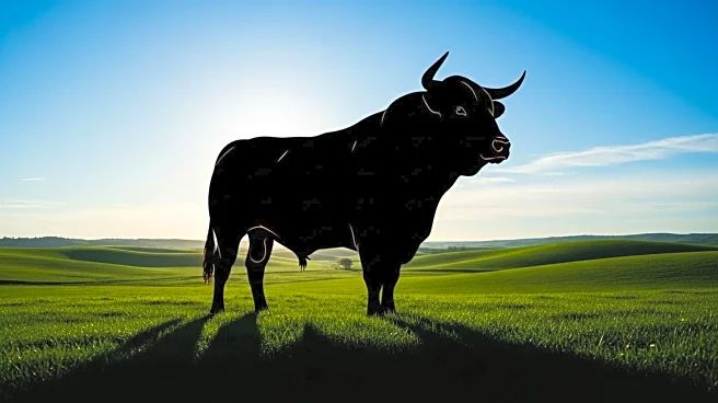 Statistics Canada Reports Increase in Canadian Cattle Herd, Impacting U.S. Market