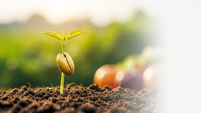 Sahel Capital Secures $10 Million Investment to Enhance African Agriculture