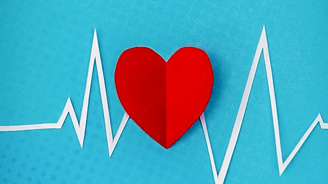 Research Identifies Evening Pulse Pressure as Predictor of Cardiovascular Events in Older Adults