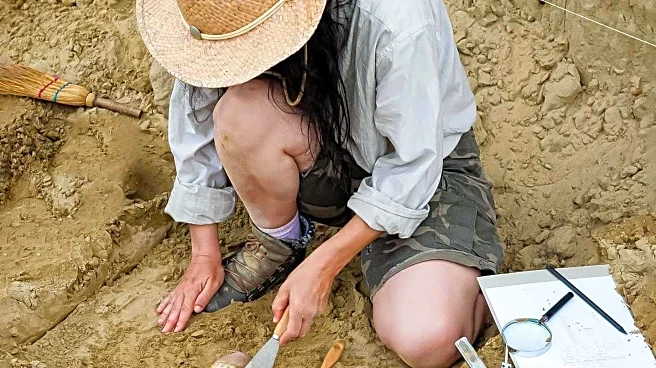 Boston Borough Council Exhibits Artefacts from Rosegarth Community Dig