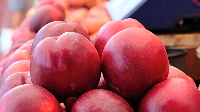 Colorado Teacher Facilitates Summer Learning Through Farmers Market Initiative