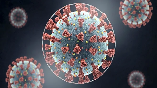 Exploring the Biological Mystery and Evolution of Viruses