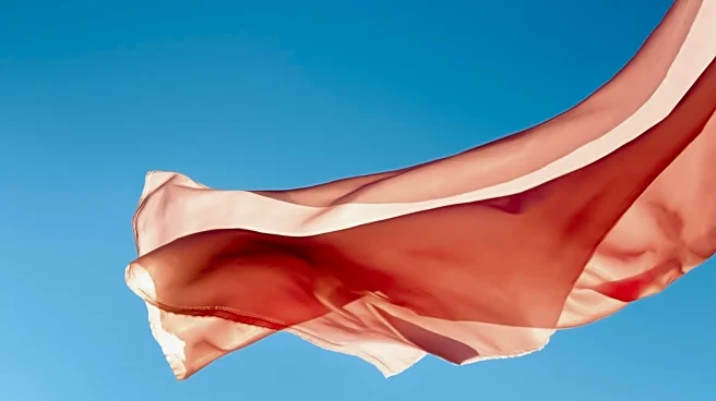 Instagram Influencer Faces Prison for Disrespecting Turkish Flag