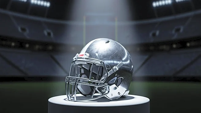 Atlanta Falcons Release Kicker Lenny Krieg After Preseason Performance