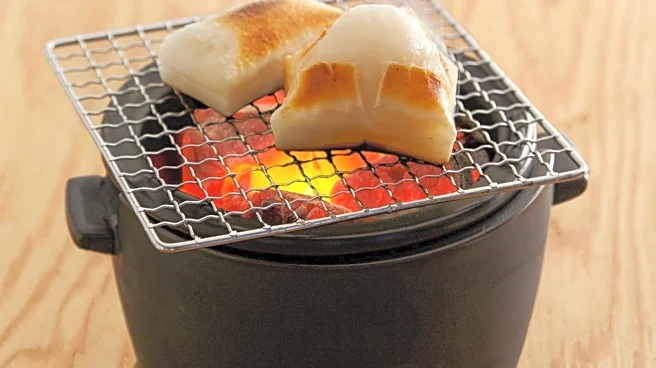 CNET Advises Against Grilling Certain Foods Without Special Equipment
