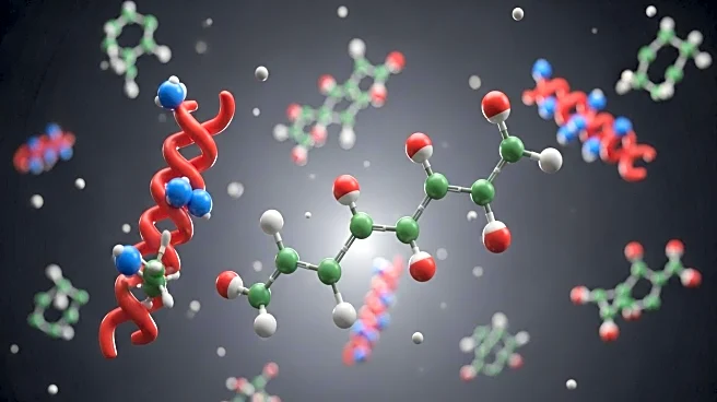 Meihua Holdings Completes Acquisition of Kyowa Hakko Bio's Amino Acids and HMO Business