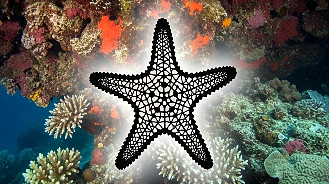 Scientists Identify Bacterium Behind Starfish Wasting Disease, Impacting Marine Ecosystems