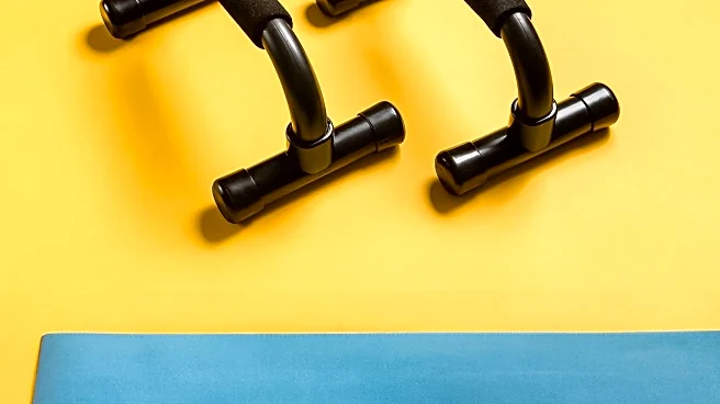 Mini Stepper Gains Popularity for Home Fitness, Offers Affordable Exercise Solution