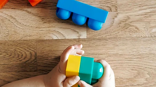 Toy Insider Highlights Educational Toys for Preschoolers