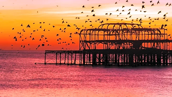 Charity Commission Freezes Accounts of Brighton and Hove Heritage Group Amid Investigation