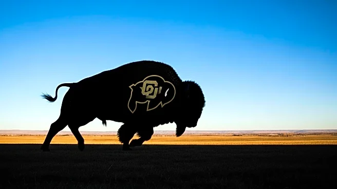Colorado Buffaloes' Mascot Ralphie VI Retires, Replacement in Training