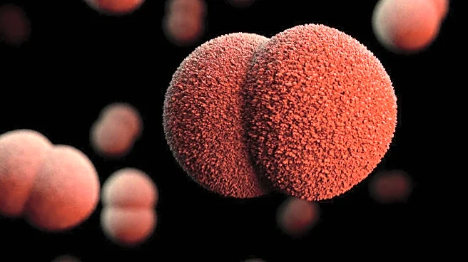 Scientists Develop Bacteria-Based Cancer Therapy Independent of Immune System