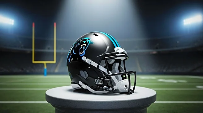 Carolina Panthers Waive Ja'Seem Reed Following Preseason Performance