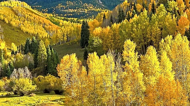Early Arrival of Colorado Fall Colors in 2025 Due to Environmental Stress