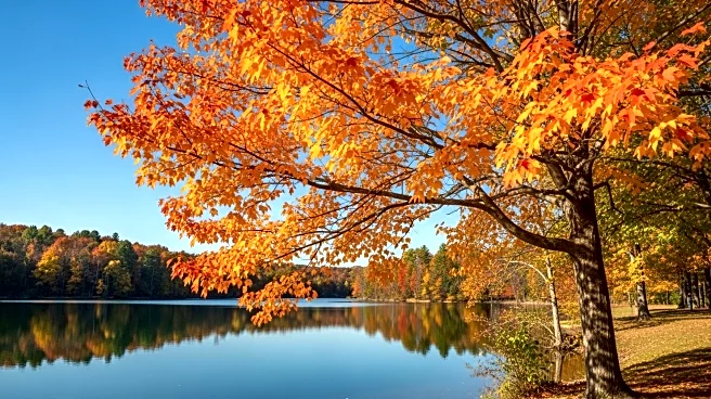 Colorado's Fall Colors Arrive Early in 2025 Due to Drought