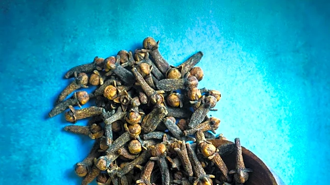 Clove Water's Impact on Blood Sugar and Inflammation Questioned by Experts