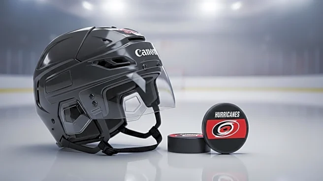 Erik Cole Retires from NHL, Becomes Carolina Hurricanes Ambassador