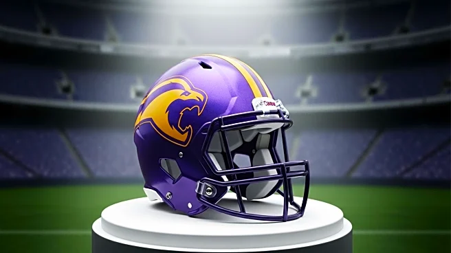 Ty Chandler Secures Spot on Minnesota Vikings' 53-Man Roster