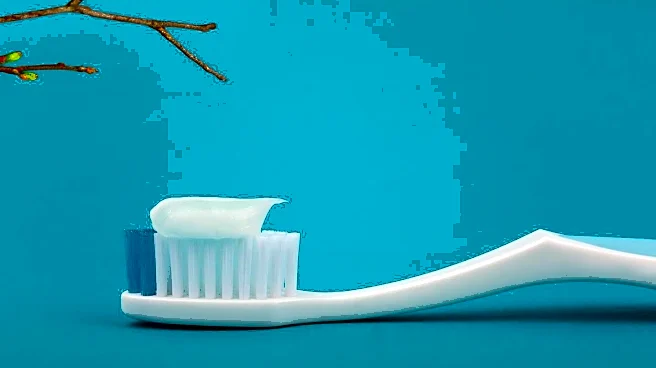 Dental Plastics Raise Concerns Over Long-Term Microplastic Exposure