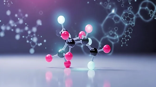 Complement-Based Drug Development Summit Explores Therapeutic Innovations