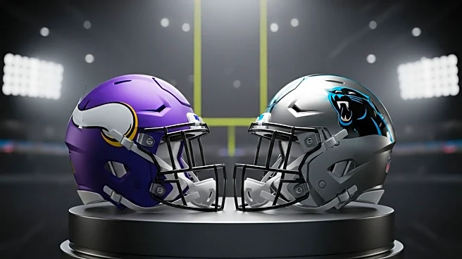 Vikings Trade for Panthers' Adam Thielen, Returning Veteran Receiver to Minnesota