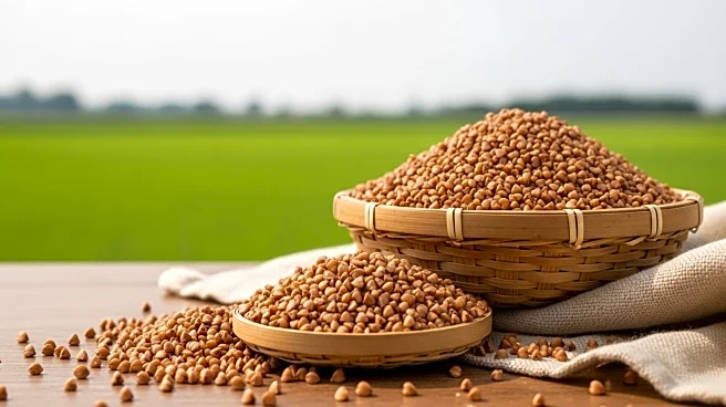 Farmers and Researchers Promote Buckwheat to Transform US School Foods