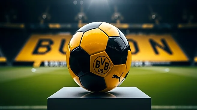 Borussia Dortmund Finalizes €26.5 Million Transfer Deal for Wolves Forward Fabio Silva