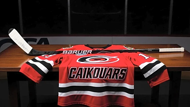 Erik Cole Retires from NHL, Becomes Hurricanes Team Ambassador