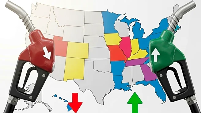 AAA Reports Diesel Prices Decline While Gasoline Prices Rise Across U.S. Regions