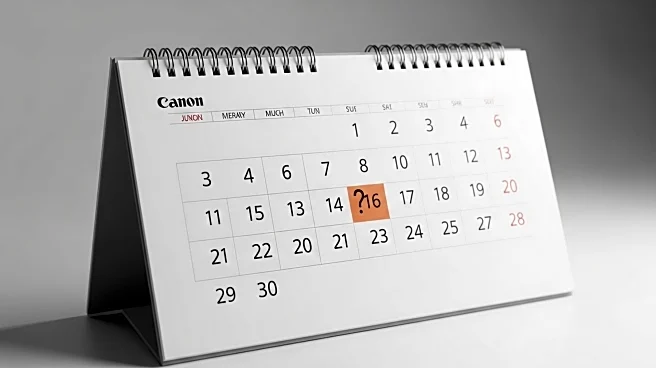Democrats Consider Restructuring 2028 Presidential Primary Calendar, South Carolina's Position Uncertain