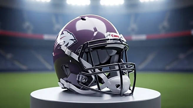 Cleveland Browns Add Raheim 'Rocket' Sanders to Roster for Depth