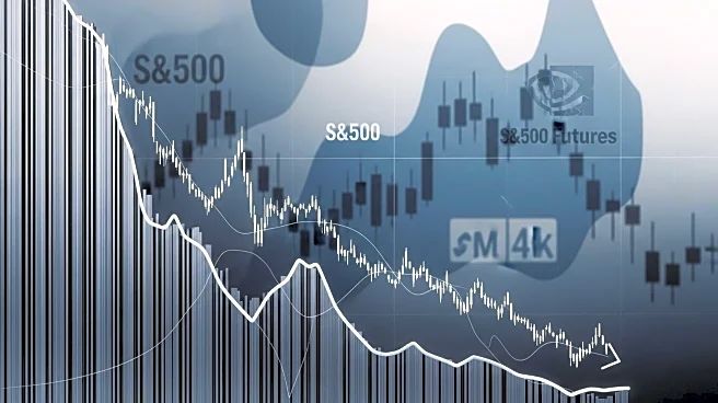 Nvidia Shares Decline Despite Strong Earnings, Impacting S 500 Futures