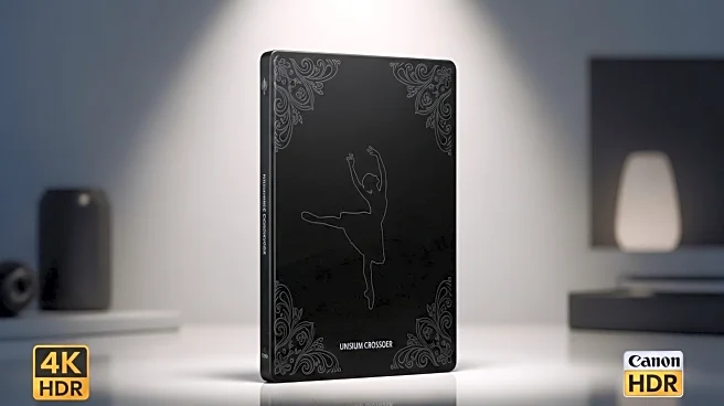 John Wick: Ballerina 4K Steelbook Edition Preorders Available