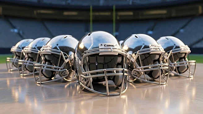 NFL Teams Make Strategic Moves Following 2025 Roster Cuts