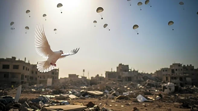 Ahmed Fouad Alkhatib Documents Gaza's Devastation Amid Humanitarian Airdrop