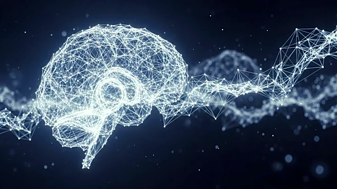 New Study Challenges Long-Held Beliefs About Phantom Limb Brain Reorganization