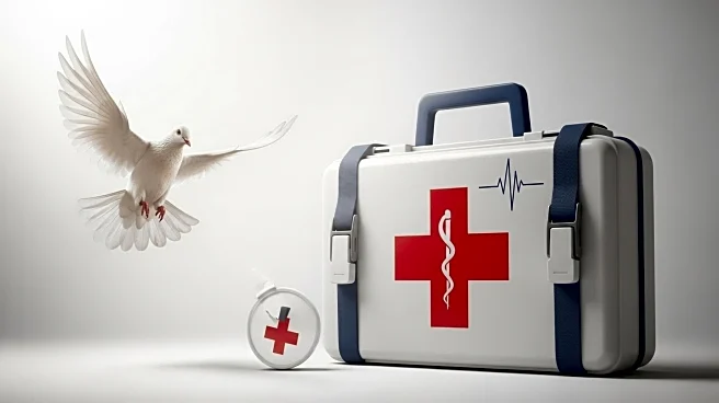 Israel Restricts American Doctors from Volunteering in Gaza, Impacting Medical Aid