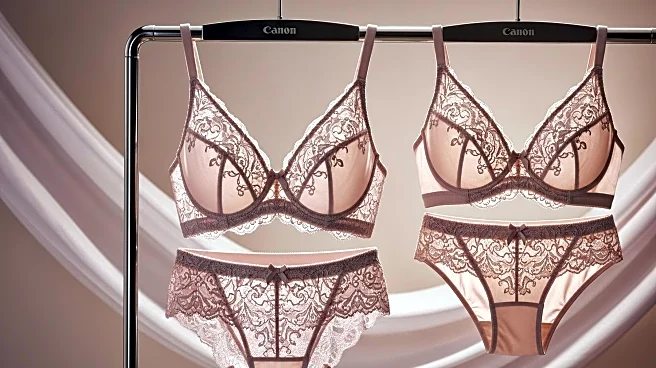 Victoria's Secret Reports Q2 Sales Increase, Exceeds Expectations