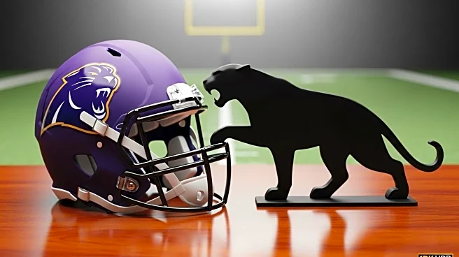 Minnesota Vikings Trade for Adam Thielen from Carolina Panthers
