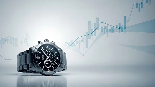 Swatch CEO Eases Investor Concerns Over US Tariffs, Shares Rise